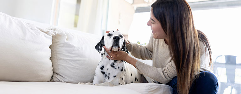 New York Pet Insurance Coverage